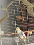 IMG_5267.jpeg