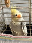 IMG_5088.jpeg