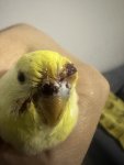 IMG_6774.jpeg