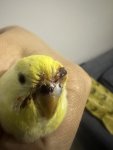 IMG_6773.jpeg