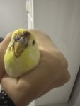 IMG_6771.jpeg