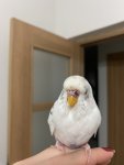 IMG_7704.jpeg