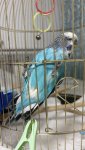 IMG_4212.jpeg