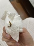 IMG_1036.jpeg