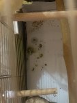 IMG_0755.jpeg
