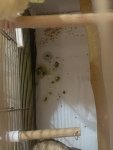 IMG_0754.jpeg