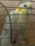IMG_0753.jpeg