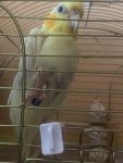 IMG_0750.jpeg