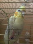 IMG_0751.jpeg