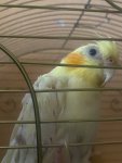 IMG_0752.jpeg