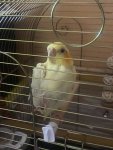 IMG_0749.jpeg