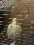 IMG_0748.jpeg