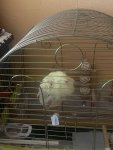 IMG_0747.jpeg