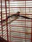 IMG_3784.jpeg