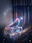 IMG_6571.png