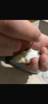 IMG_3795.png