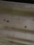 IMG_0766.jpeg