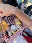IMG_7830.jpeg