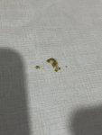 IMG_1899.jpeg