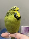 IMG_1903.jpeg