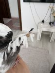 IMG_5754.jpeg