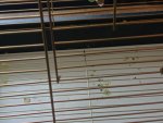 IMG_20260625_123346.jpg