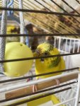 IMG_0405.jpeg