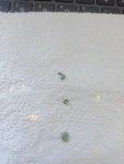 IMG_20260625_164402.jpg