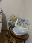 IMG_7776.jpeg