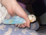IMG_0483.jpeg