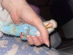 IMG_0482.jpeg