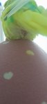 20260622_204729.jpg