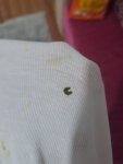 20260626_221037.jpg