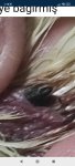 Screenshot_2026-06-27-01-18-12-059_com.android.chrome.jpg