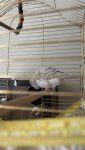 IMG_4265.jpeg