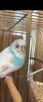 IMG_0676.jpeg