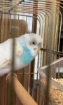 IMG_0675.jpeg