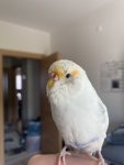 IMG_7816.jpeg
