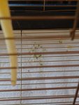 IMG_20260627_194516.jpg