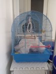 IMG-20260621-WA0003.jpg