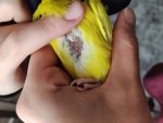 IMG_20260628_170429.jpg