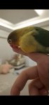 Screenshot_20260628_201813_Gallery.jpg