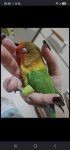 Screenshot_20260628_202626_Chrome.jpg