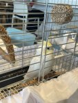 IMG_8275.jpeg