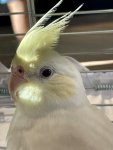 IMG_8278.jpeg