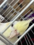 IMG_8340.jpeg