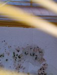 IMG_20260629_100932.jpg