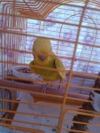 IMG_20260628_200316.jpg