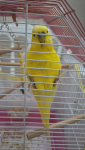 20260629_212010.png