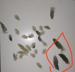 IMG_20260630_110030.jpg